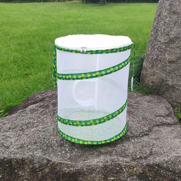 Collapsible Insect Cage and Incubator